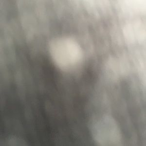 Meet your Posher, Isabelle